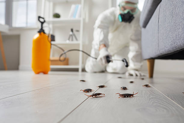 Commercial Kitchen Cockroach Control in West Park